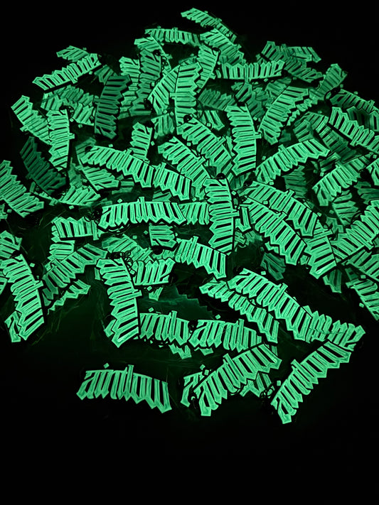 GLOW IN THE DARK KEY CHAIN